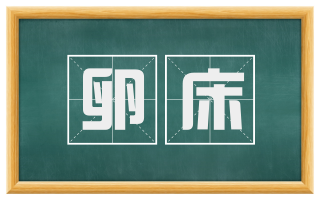 卵床