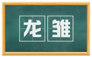 龙雏