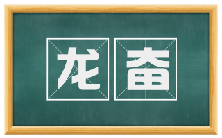 龙奋