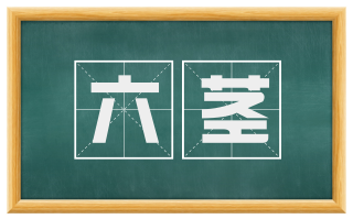 六茎