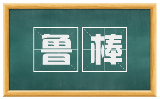 鲁棒