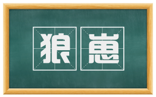 狼崽