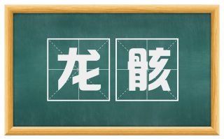 龙骸