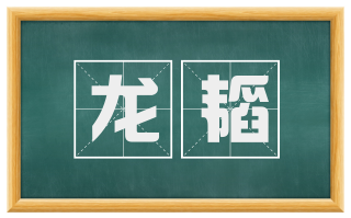 龙韬