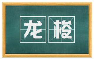 龙梭