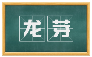 龙芽