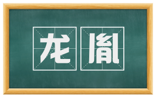 龙胤