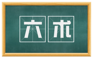 六术