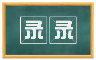 录录