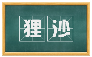 狸沙