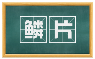 鳞片