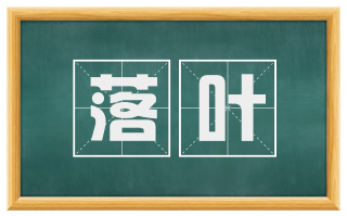 落叶