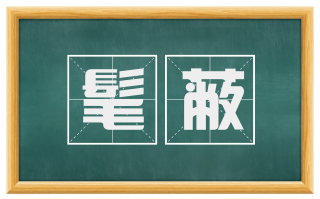 髦蔽