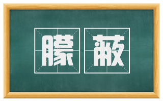 朦蔽