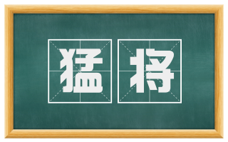 猛将