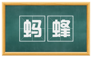 蚂蜂