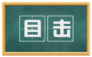 目击