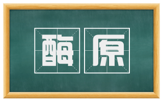 酶原