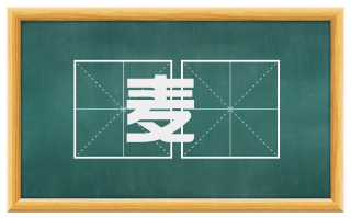 麦麨