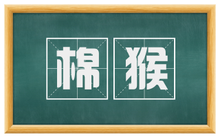 棉猴