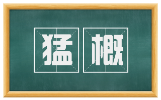 猛概