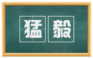 猛毅