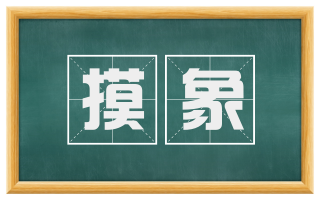 摸象