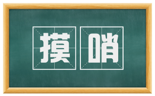摸哨