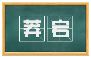 莽宕
