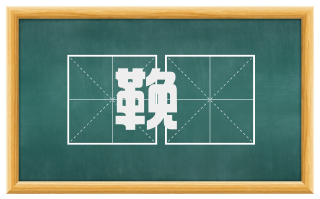 鞔鞮