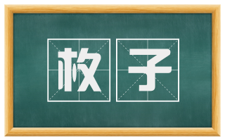 枚子