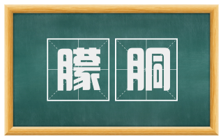 朦胴