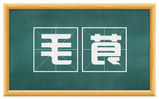 毛茛