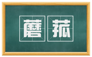 蘑菰