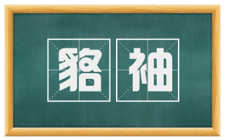 貉袖