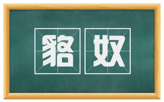 貉奴