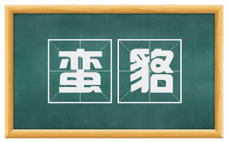 蛮貉