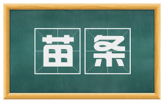 苗条