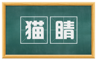 猫睛