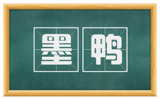 墨鸭