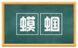 蟆蝈