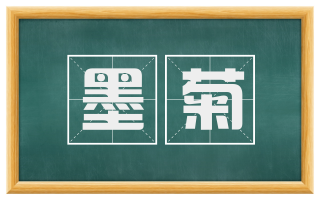 墨菊