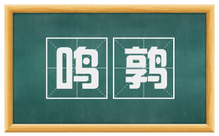 鸣鹑