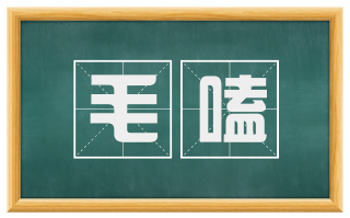 毛嗑