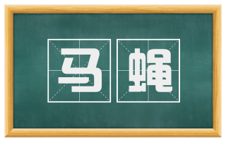 马蝇
