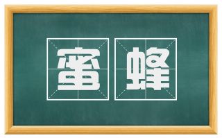 蜜蜂