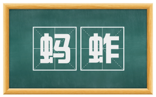 蚂蚱