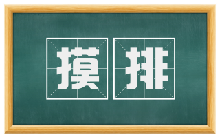 摸排