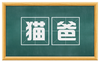 猫爸