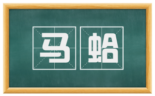 马蛤